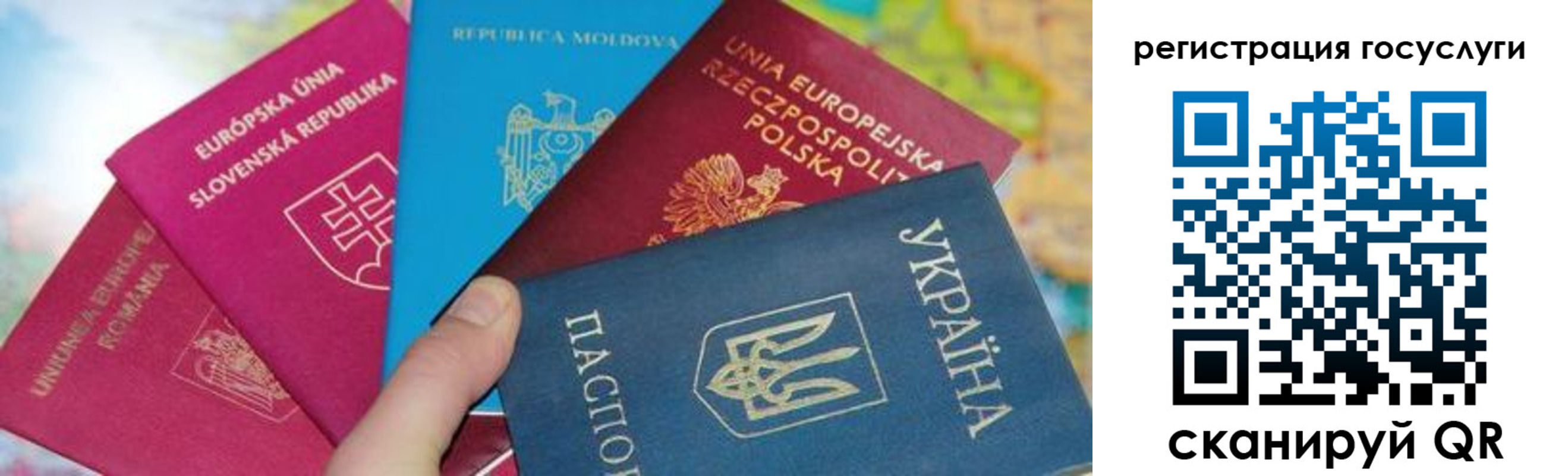 прописка гарантия в Ершове